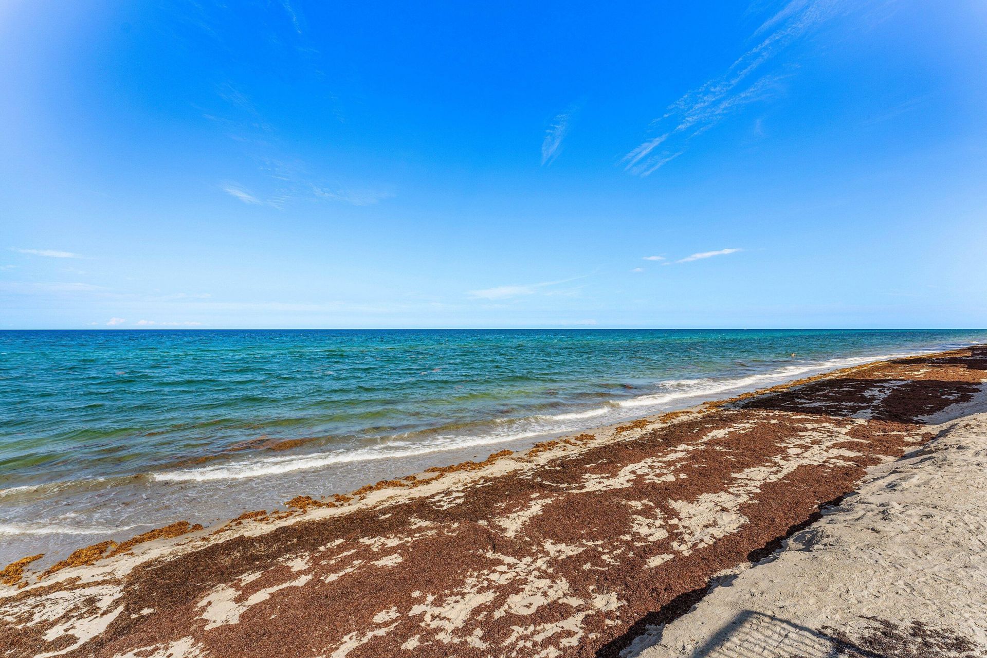 3545 S Ocean Boulevard, Unit 405, South Palm Beach, FL 33480 Photo