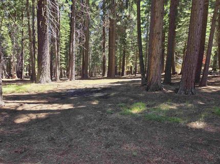 307 Raccoon Trail, Lake Almanor, CA 96020 Photo