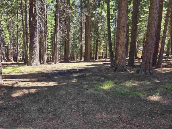 307 Raccoon Trail, Lake Almanor West, CA 96020