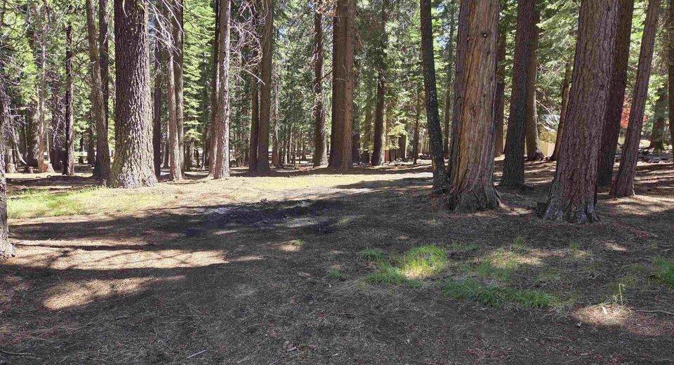 307 Raccoon Trail, Lake Almanor, CA 96020 Photo