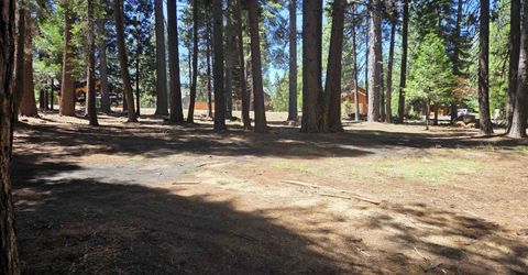 307 Raccoon Trail, Lake Almanor, CA 96020 Photo