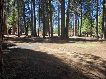 307 Raccoon Trail, Lake Almanor, CA 96020 Photo