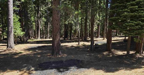 307 Raccoon Trail, Lake Almanor, CA 96020 Photo