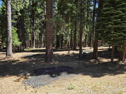 307 Raccoon Trail, Lake Almanor, CA 96020 Photo