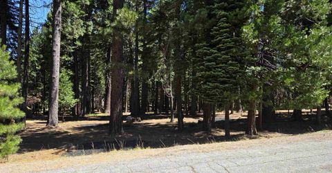 307 Raccoon Trail, Lake Almanor, CA 96020 Photo