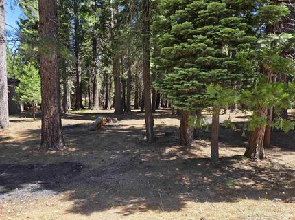 307 Raccoon Trail, Lake Almanor, CA 96020 Photo