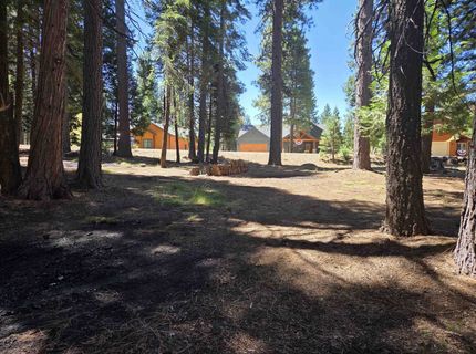 307 Raccoon Trail, Lake Almanor, CA 96020 Photo