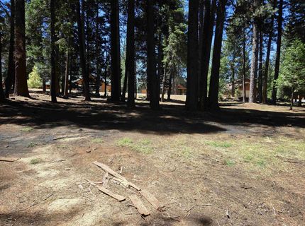 307 Raccoon Trail, Lake Almanor, CA 96020 Photo