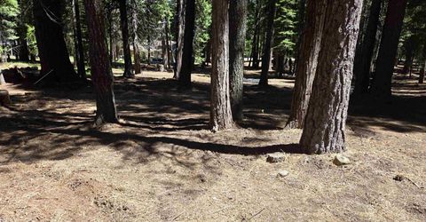 307 Raccoon Trail, Lake Almanor, CA 96020 Photo