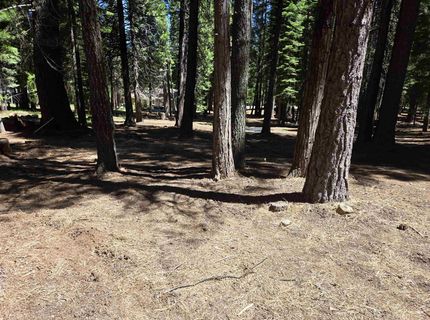 307 Raccoon Trail, Lake Almanor, CA 96020 Photo
