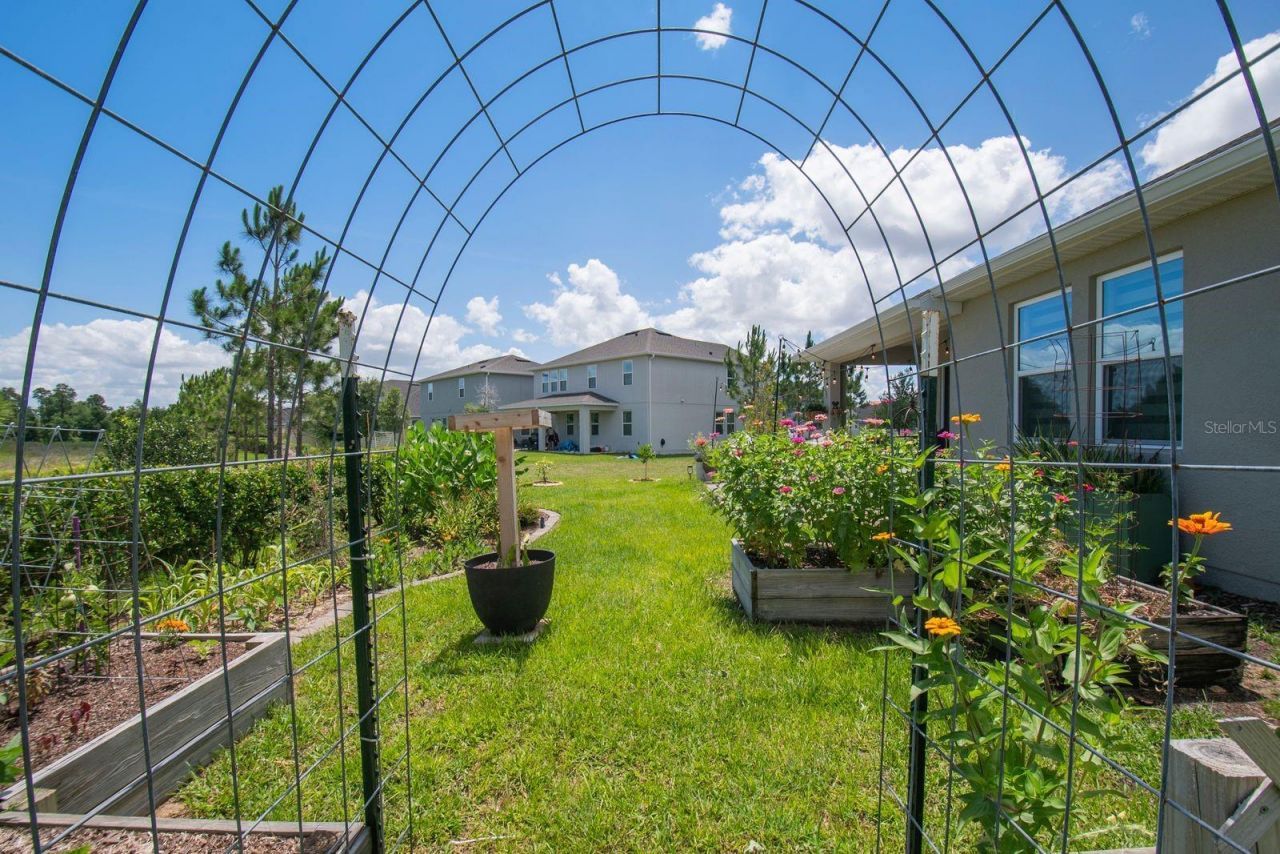 864 Vineyard Ridge Road, Minneola, FL 34715 Photo