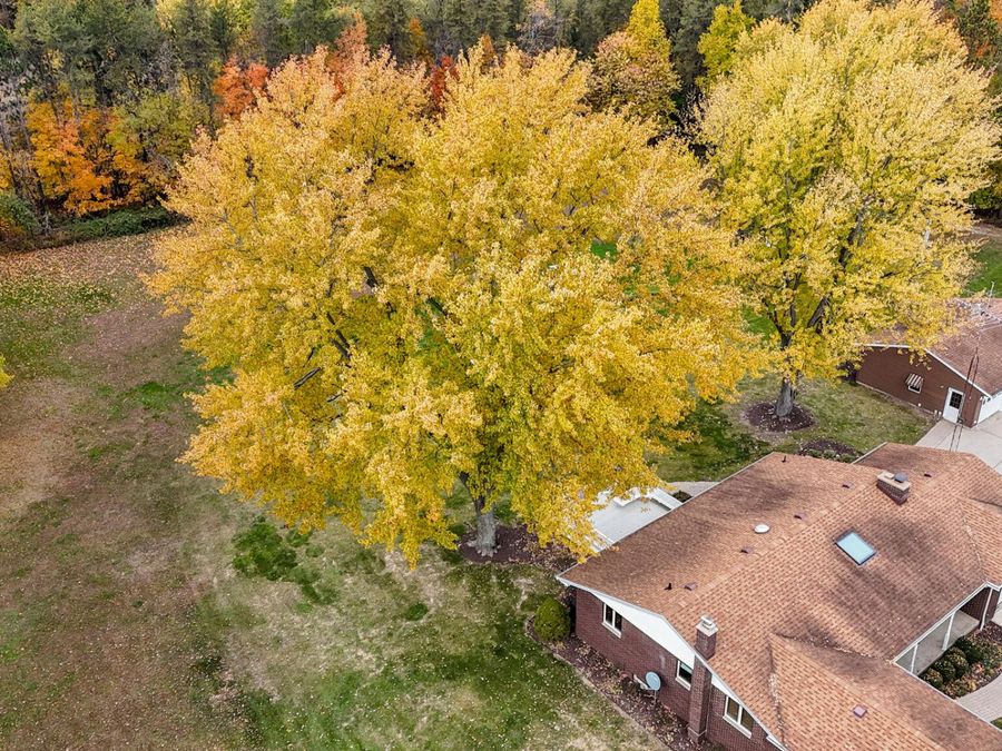 Property Image 114
