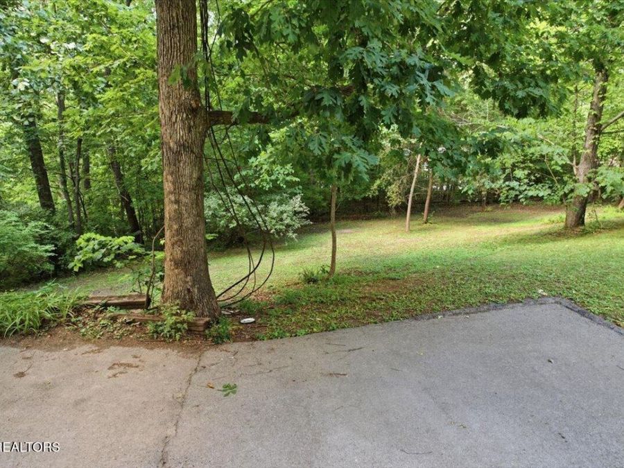 Property Image 51
