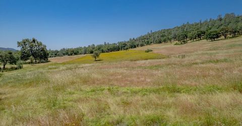 13812 Willow Glen Rd, Browns Valley, CA 95918 Photo