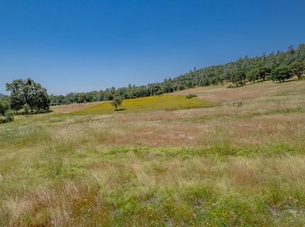13812 Willow Glen Rd, Browns Valley, CA 95918 Photo