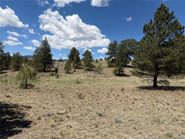 595 Bridle Path , Hartsel, CO 80449