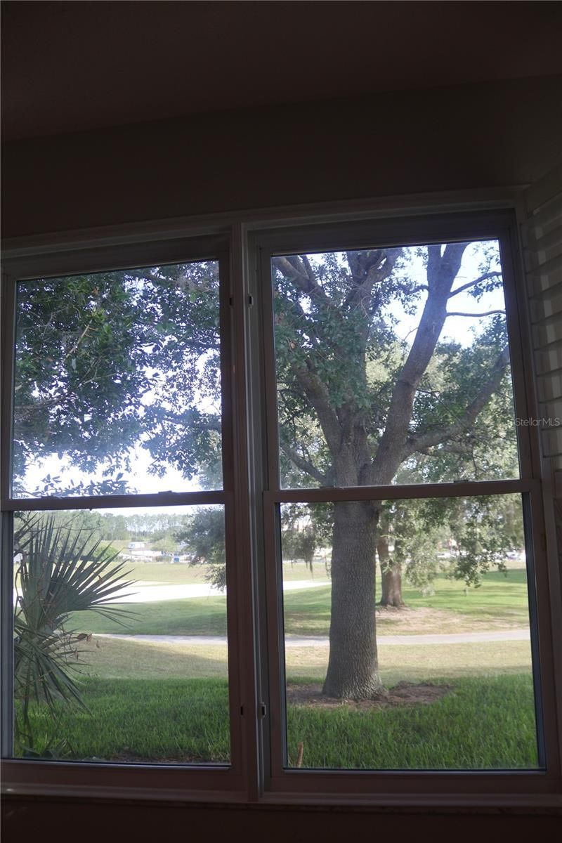 3850 Beacon Ridge Way , Clermont, FL 34711 Photo