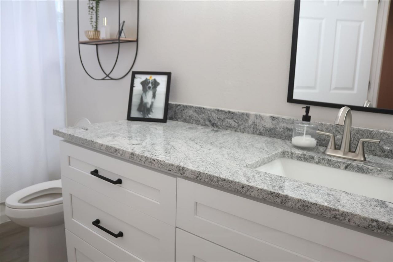 3850 Beacon Ridge Way , Clermont, FL 34711 Photo