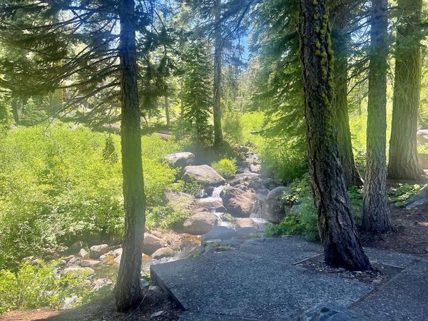 2337 Bear Falls Lane, Alpine Meadows, CA 96146