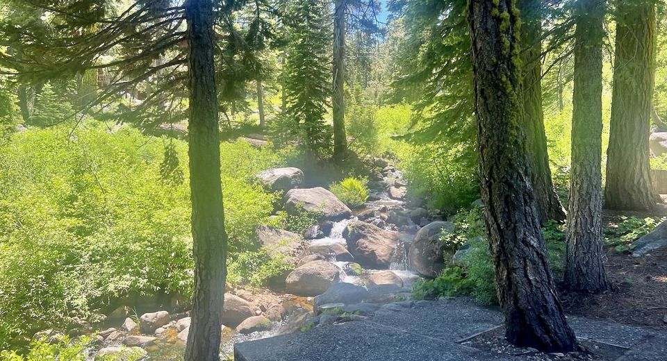 2337 Bear Falls Lane, Alpine Meadows, CA 96146 Photo