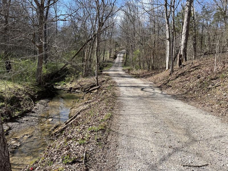 0 Old Ragtown Road, Corinth, KY 41010 Photo 11