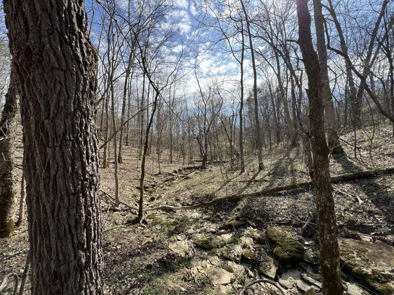 0 Old Ragtown Road, Corinth, KY 41010 Photo 12