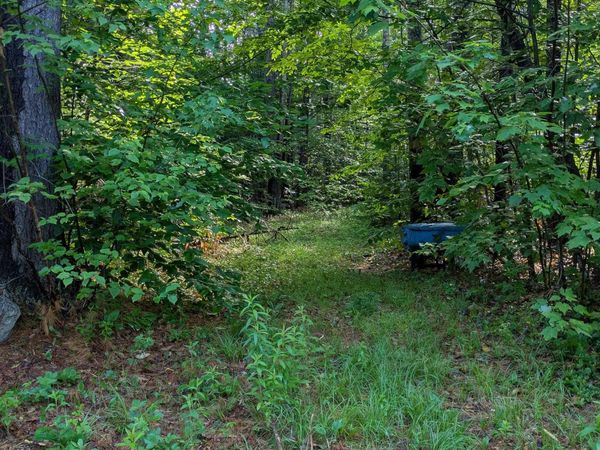 128 Brock Hill Road, Grafton, NH 03240