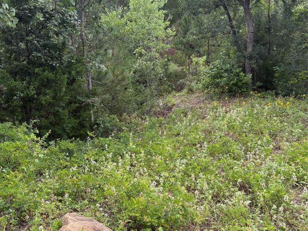 TBD Kaena LN, Bastrop, TX 78602