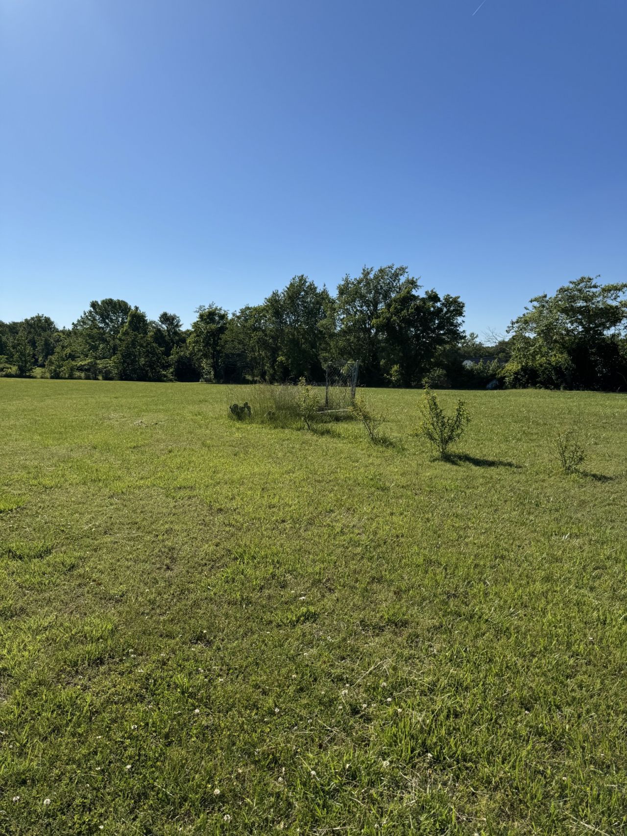 4602 Washington Rd , Greenbrier, TN 37073 Main Photo
