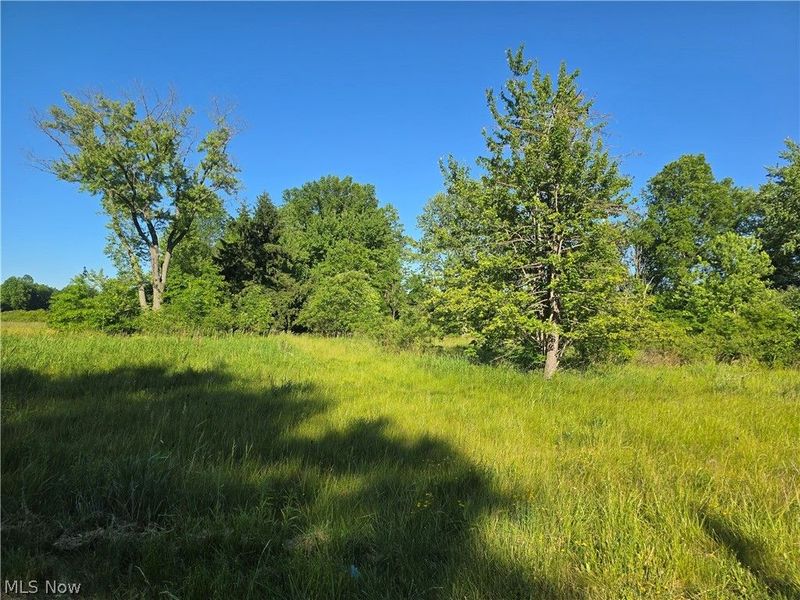 888 Youngstown Kingsville Road NE, Vienna, OH 44473 Photo 9
