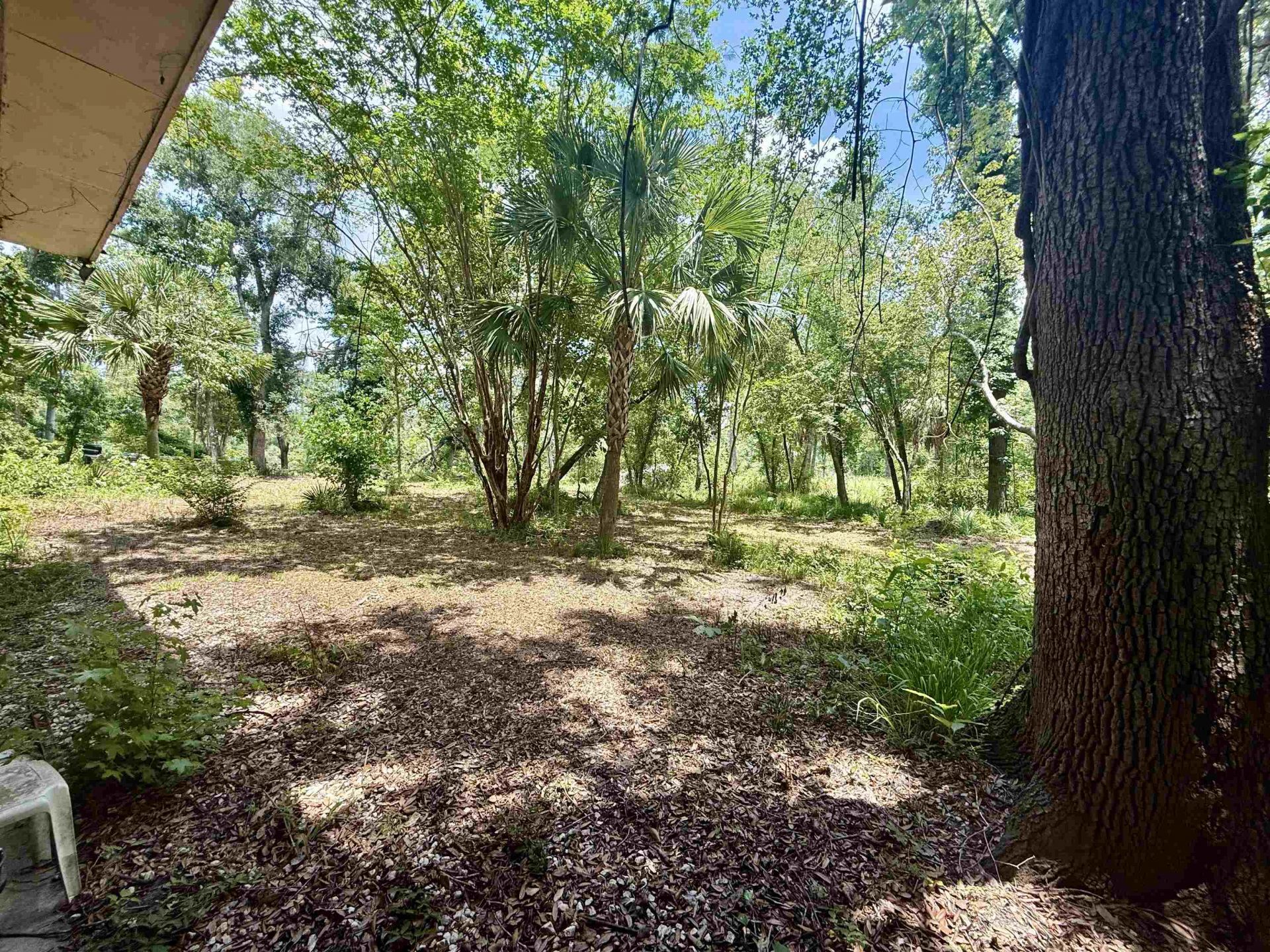 524 NE Withla Bluffs Way, Lee, FL 32340 Photo