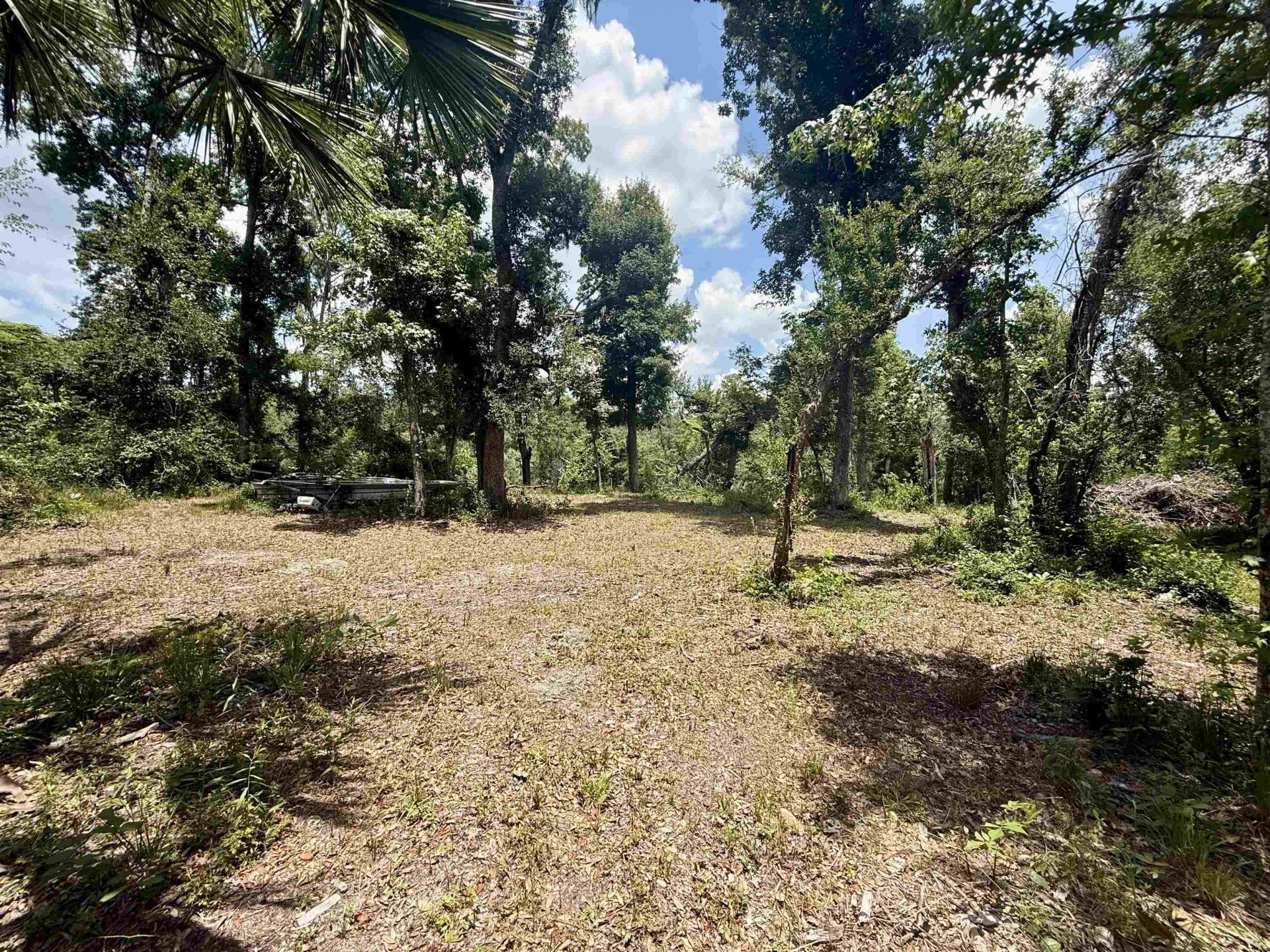 524 NE Withla Bluffs Way, Lee, FL 32340 Photo