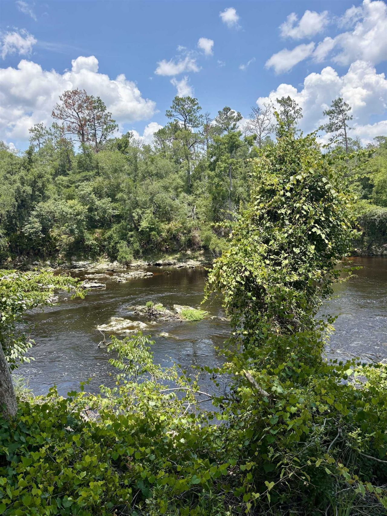 524 NE Withla Bluffs Way, Lee, FL 32340 Photo