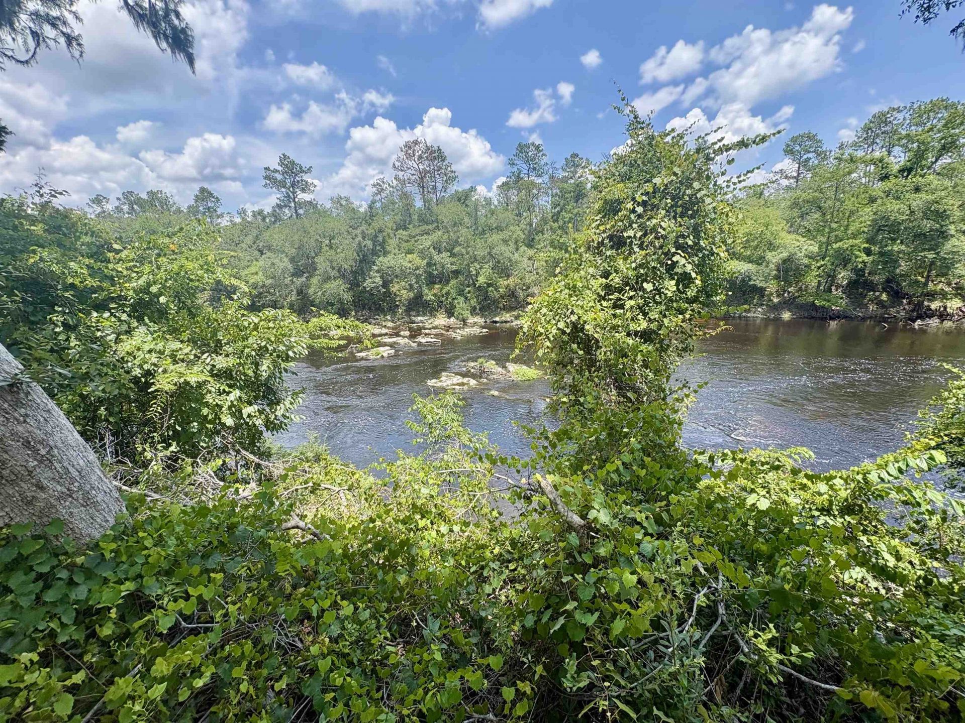 524 NE Withla Bluffs Way, Lee, FL 32340 Photo