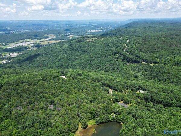 Lot 8 County Road 166 (Citadel Rock Road), Fort Payne, AL 35967