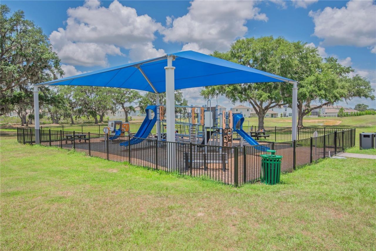 10706 Torchwood Sea Way, San Antonio, FL 33576 Photo