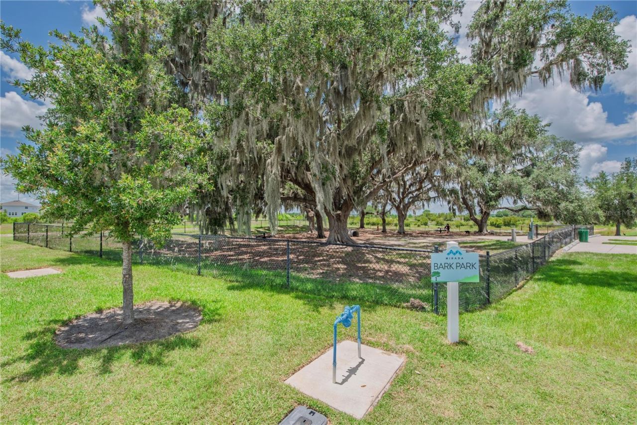 10706 Torchwood Sea Way, San Antonio, FL 33576 Photo