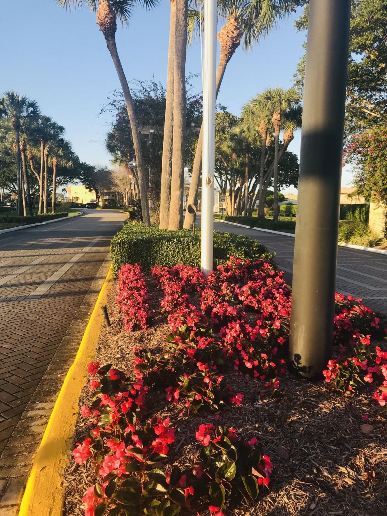 816 Normandy Q, Delray Beach, FL 33484 Photo