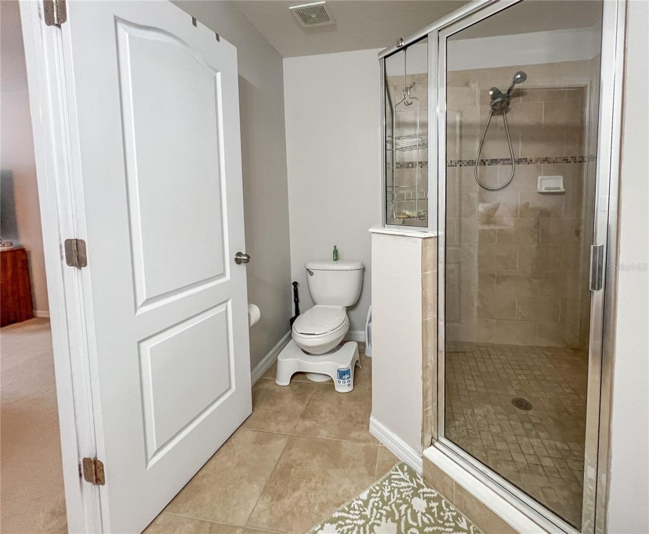772 Spring Flowers Trail , Brandon, FL 33511 Photo