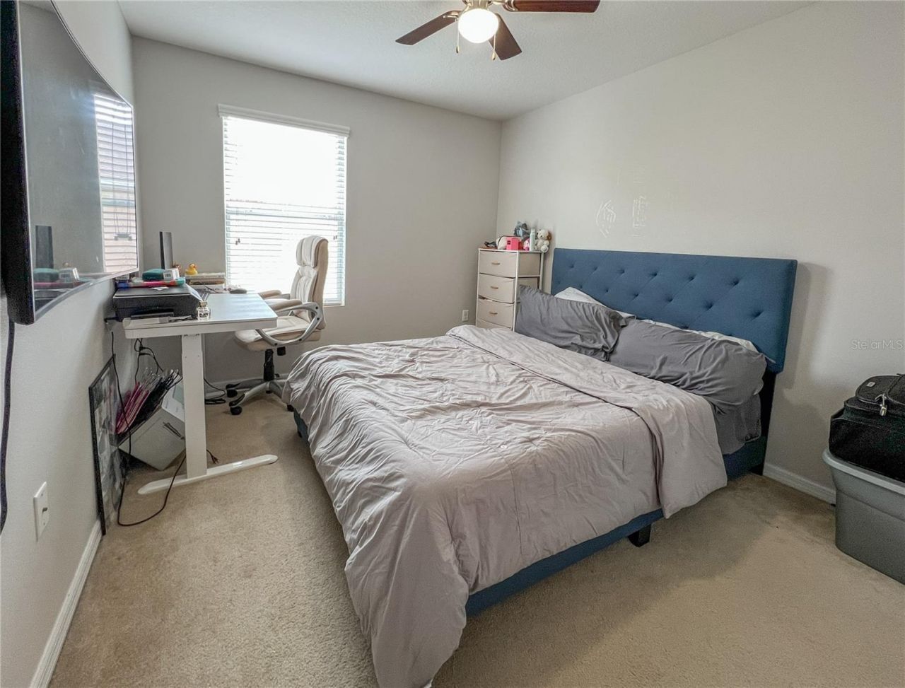772 Spring Flowers Trail , Brandon, FL 33511 Photo