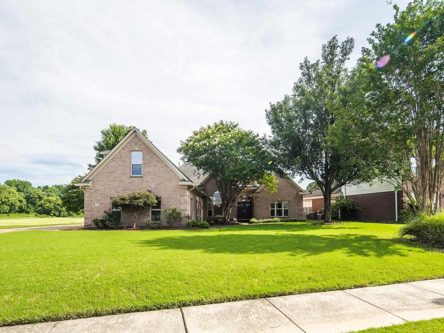 Property Image 11