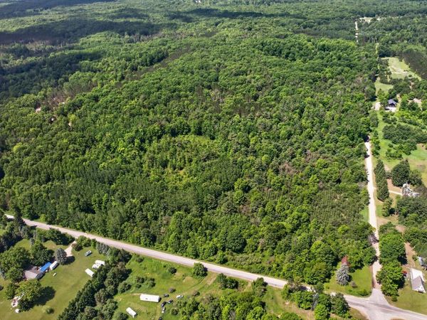 V/L S Deer Lake Road, Reed City, MI 49677