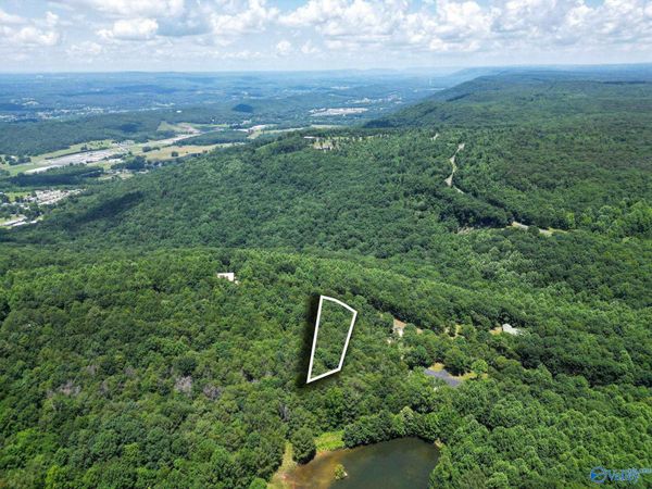 Lot 9 County Road 166 (Citadel Rock Road), Fort Payne, AL 35967