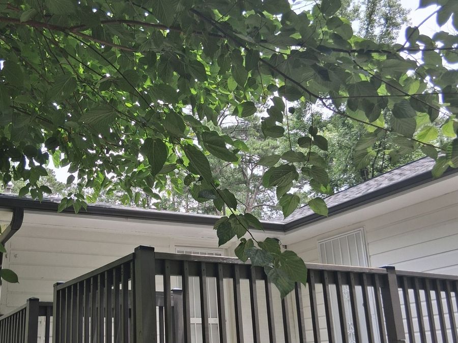 Property Image 43