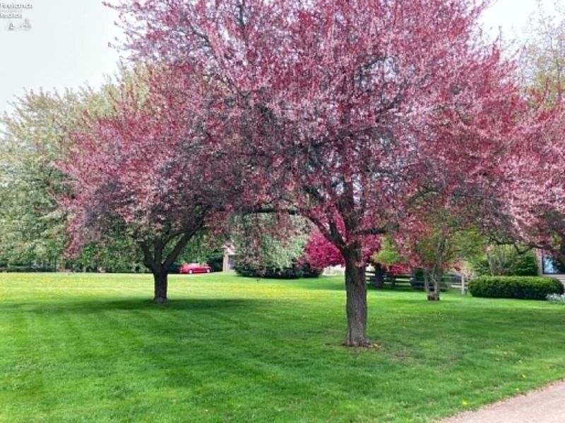 2008 E Mason Road, Milan, OH 44846 Photo 14