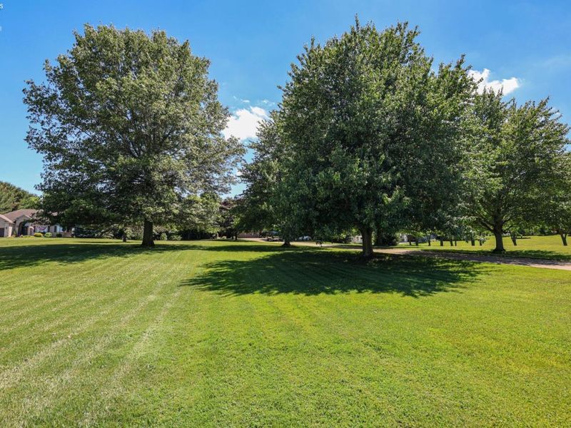 2008 E Mason Road, Milan, OH 44846 Photo 76