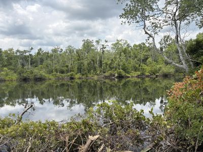 Bushy Park Road , Moncks Corner, SC 29461