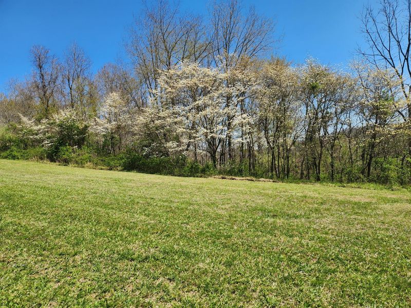 0 Covered Bridge Road , Vinton, OH 45686 Photo 13