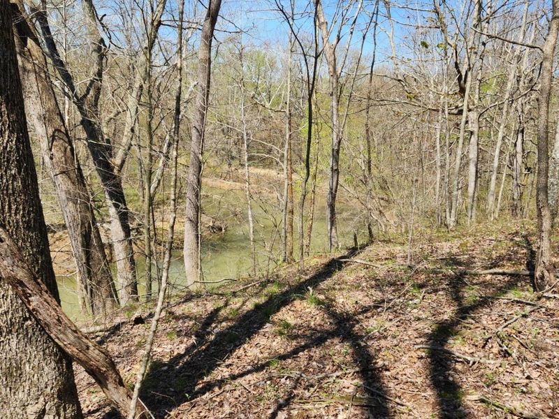 0 Covered Bridge Road , Vinton, OH 45686 Photo 14