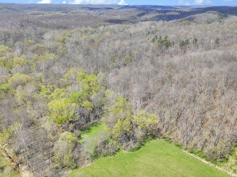 0 Covered Bridge Road , Vinton, OH 45686 Photo 24